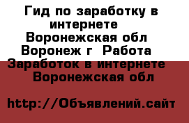 Гид по заработку в интернете. - Воронежская обл., Воронеж г. Работа » Заработок в интернете   . Воронежская обл.